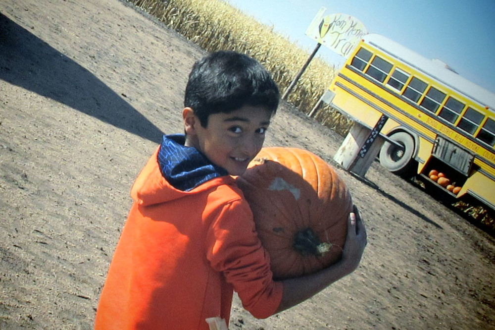 Pumpkin Patch