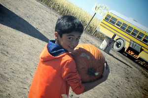 Pumpkin Patch